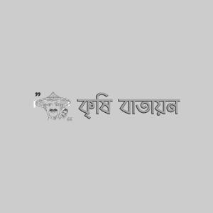 বারমাসী হাইব্রিড মরিচঃ সুপার হট-১৫-F1