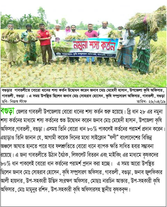 নমুনা শস্য কর্তন